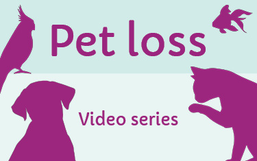 New video series - Grieving a pet