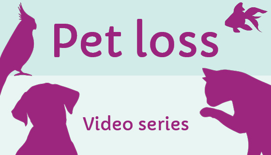 New video series - Grieving a pet